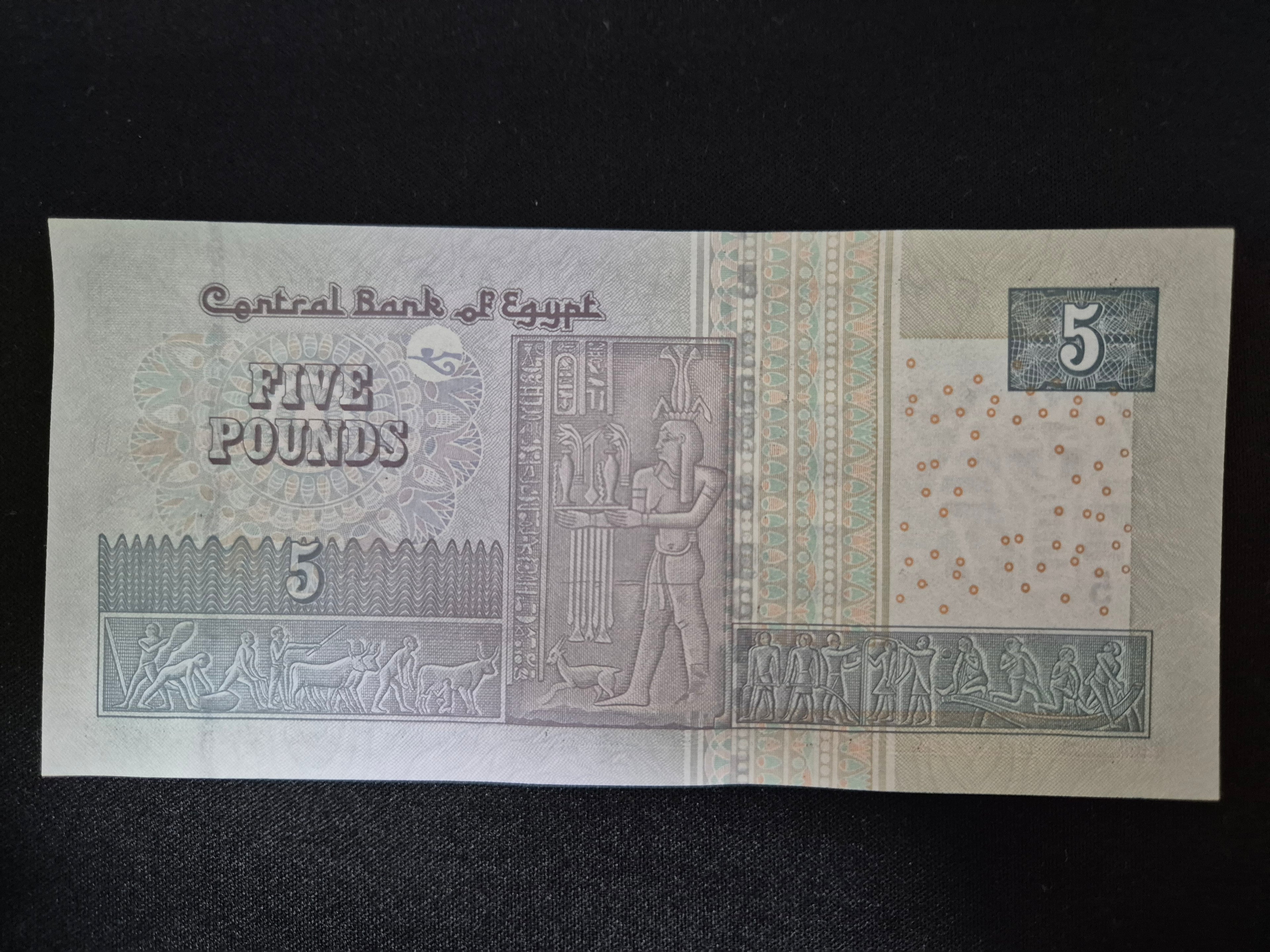 Genuine Egyptian 5 Pound Banknote – Rare Foreign Currency Collectible