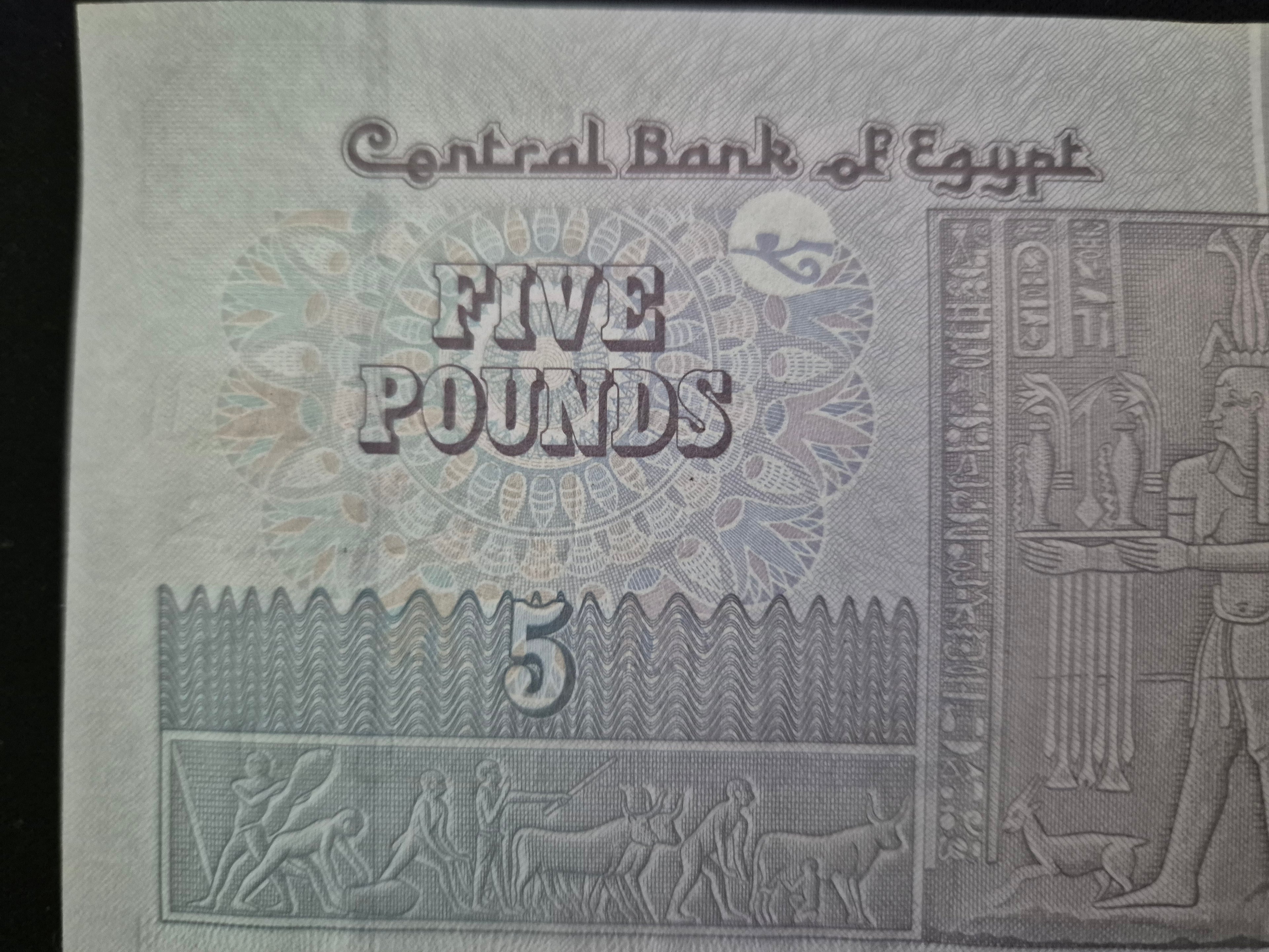 Genuine Egyptian 5 Pound Banknote – Rare Foreign Currency Collectible