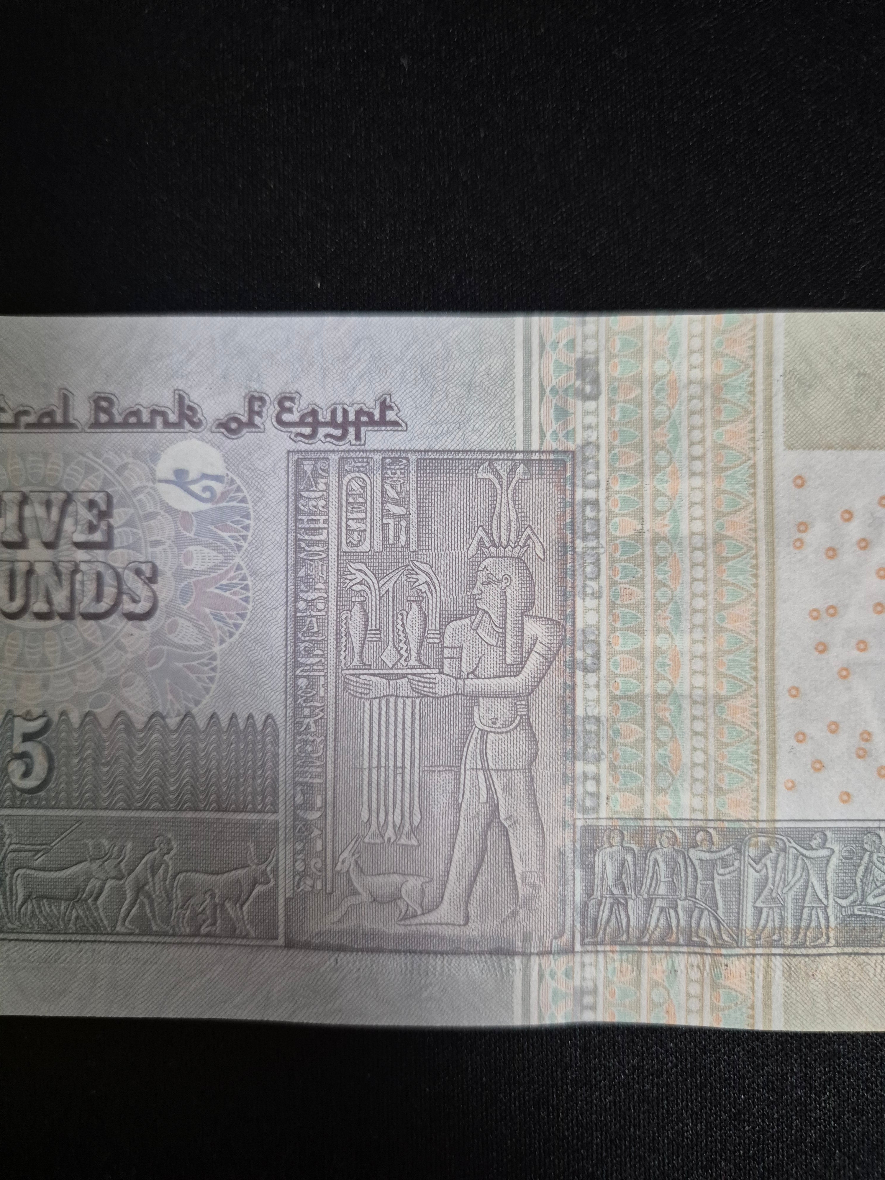 Genuine Egyptian 5 Pound Banknote – Rare Foreign Currency Collectible