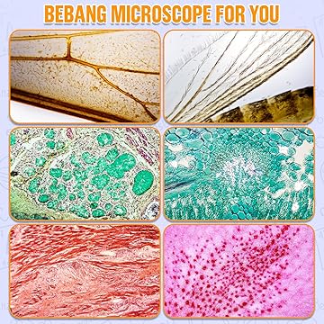 BEBANG 60X-135X Pocket Microscope for Kids & Adults – Includes 5 Specimen Slides | Portable Handheld Mini Microscope