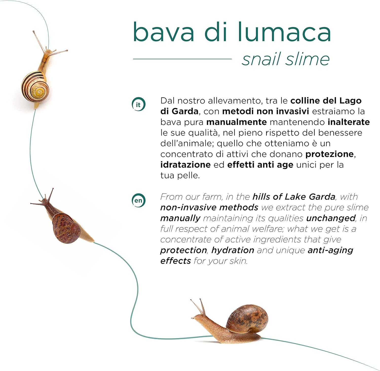 Nuvo' Organic Snail Mucin Body Cream 75ml | Anti-Stretch Mark Moisturizer with Hyaluronic Acid, Aloe & 12 Natural Actives | Made in Italy