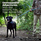 Regal Dog Light Blue Waterproof Dog Collar | Heavy-Duty Double Buckle | All-Weather Vinyl Coated - Zeta Store