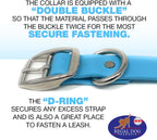 Regal Dog Light Blue Waterproof Dog Collar | Heavy-Duty Double Buckle | All-Weather Vinyl Coated - Zeta Store