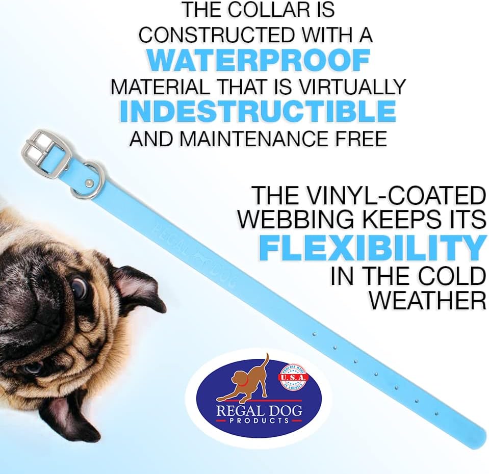 Regal Dog Light Blue Waterproof Dog Collar | Heavy-Duty Double Buckle | All-Weather Vinyl Coated - Zeta Store