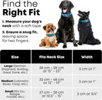 Regal Dog Light Blue Waterproof Dog Collar | Heavy-Duty Double Buckle | All-Weather Vinyl Coated - Zeta Store