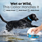 Regal Dog Light Blue Waterproof Dog Collar | Heavy-Duty Double Buckle | All-Weather Vinyl Coated - Zeta Store