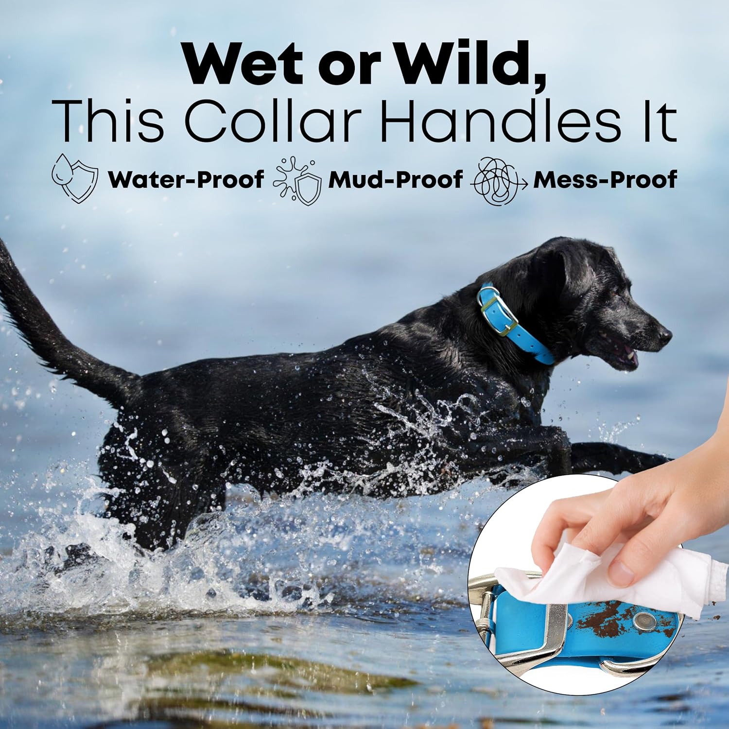 Regal Dog Light Blue Waterproof Dog Collar | Heavy-Duty Double Buckle | All-Weather Vinyl Coated - Zeta Store