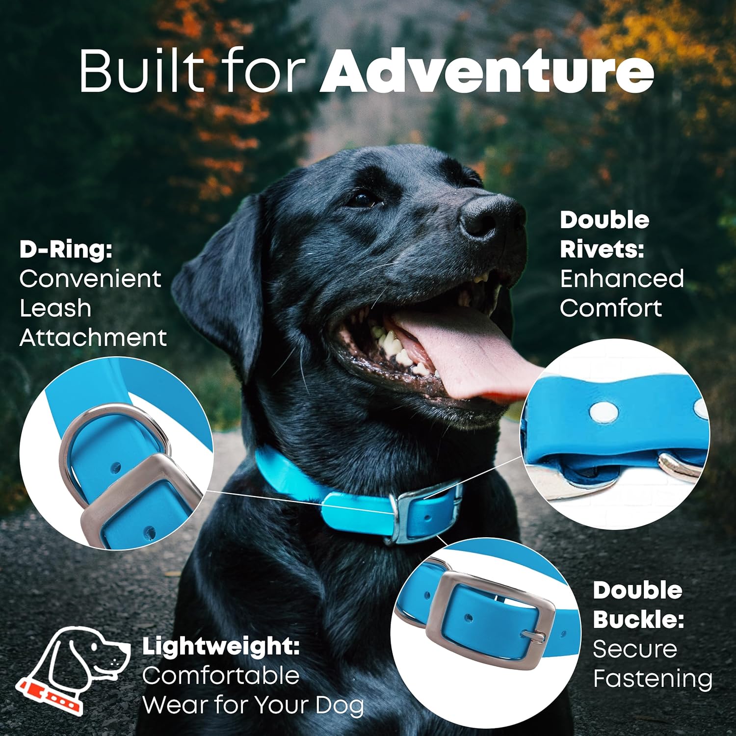 Regal Dog Light Blue Waterproof Dog Collar | Heavy-Duty Double Buckle | All-Weather Vinyl Coated - Zeta Store