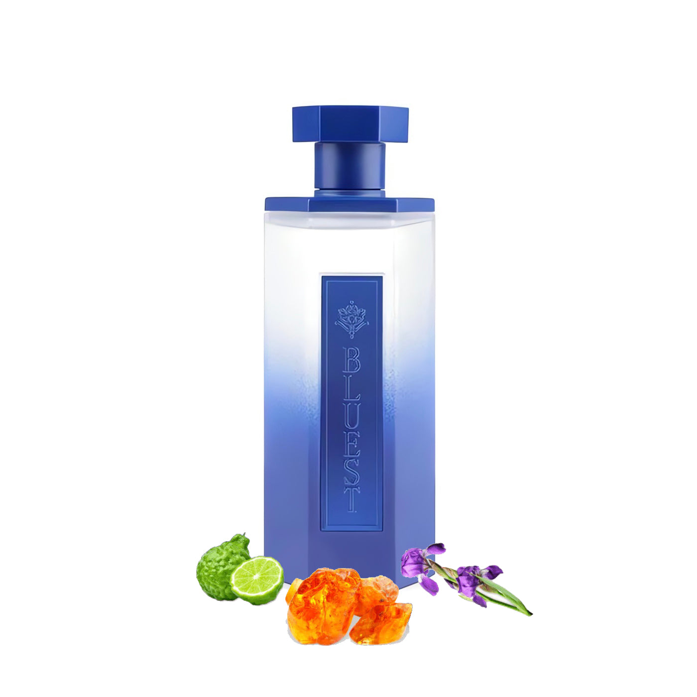 REEF Bluest EDP 200ml Perfume - Zeta Store